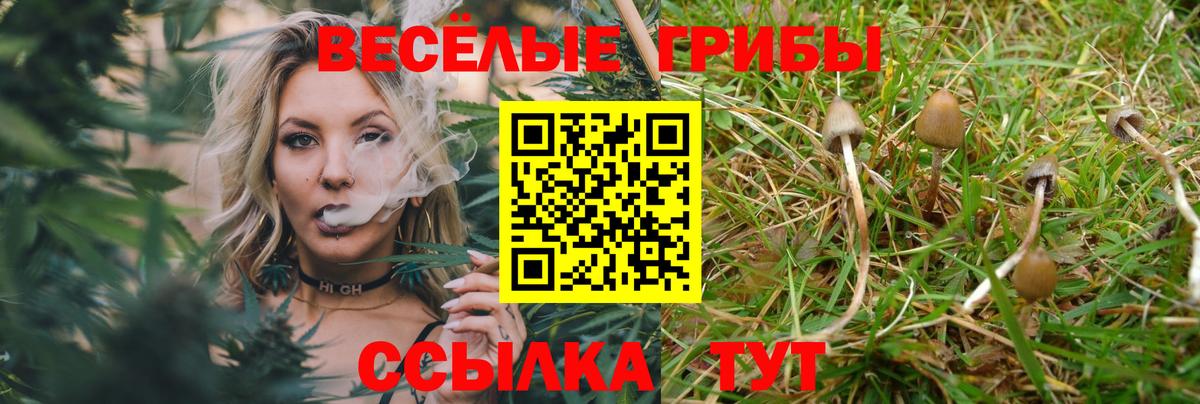 Корсаков  Галлюциногенные грибы GOLDEN TEACHER  Вход с VPN 